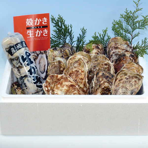 虫明産牡蠣セット(軍手・ナイフ付)【ムキ身500グラムと殻付き牡蠣15ヶ】