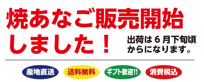 焼きアナゴ販売開始しました！